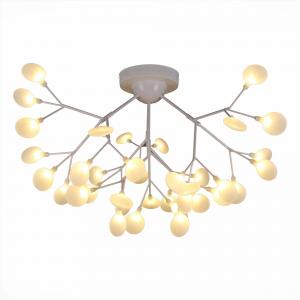 Светильник Evoluce AVOLA SLE250102-36