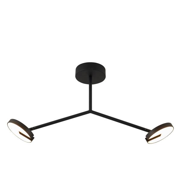 Светильник Favourite Paritet 4401-2C