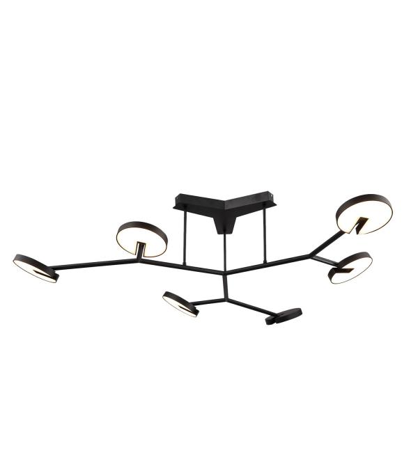 Светильник Favourite Paritet 4401-6C