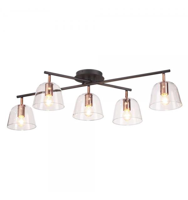 Светильник Lumion JOSEPH 4455/5C