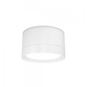 Светильник Maytoni Ceiling & Wall C086CL-GX53-SRD-W