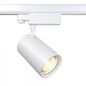 Светильник Maytoni Trinity TR029-3-20W4K-S-W