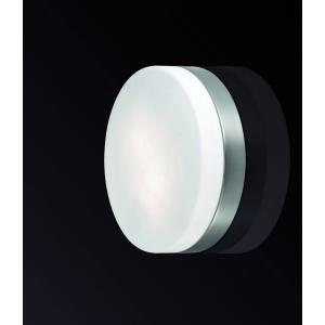 Светильник Odeon Light 2405/1C