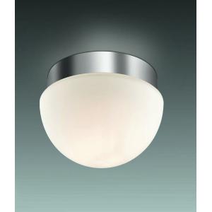 Светильник Odeon Light 2443/1A