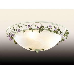Светильник Odeon Light 2796/3C
