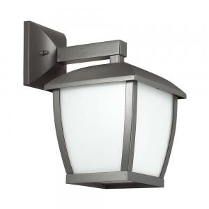 Светильник Odeon Light TAKO 4051/1W