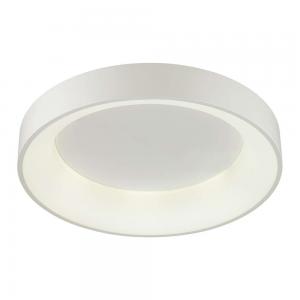 Светильник Odeon Light SOLE 4066/40CL с ДУ LED