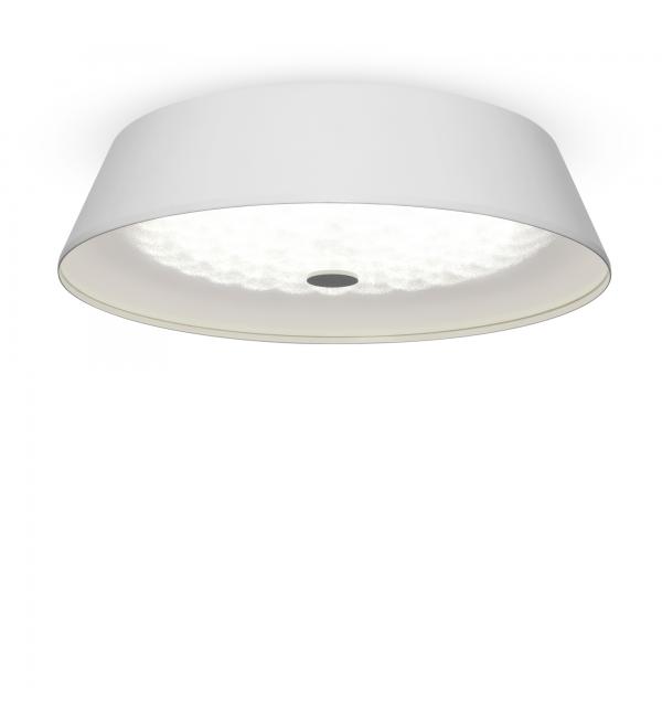 Потолочный светильник Freya FR10013CL-L24W