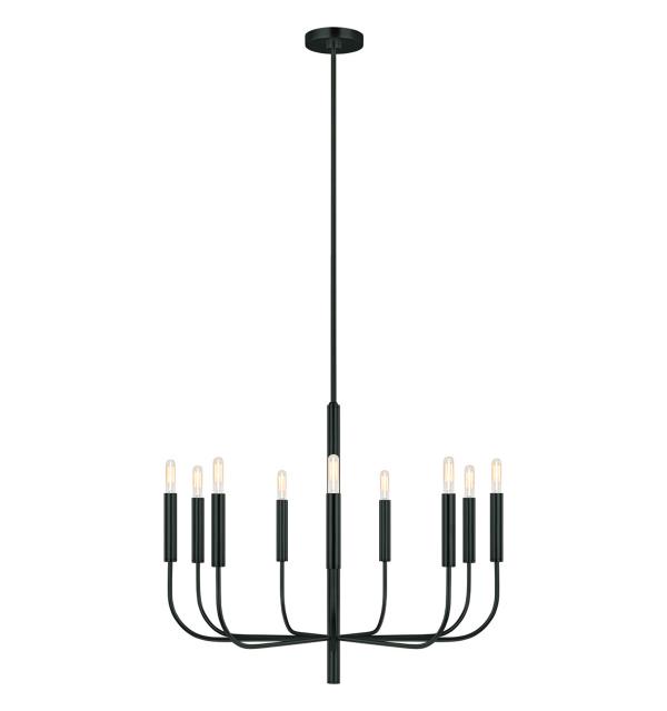 Люстра Generation Lighting, Арт. FE-BRIANNA9-BK