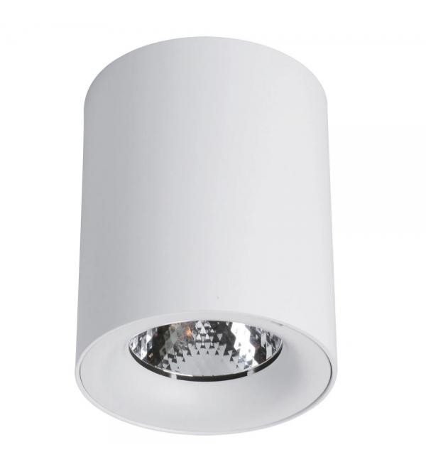 Точечный накладной светильник Arte Lamp FACILE A5112PL-1WH