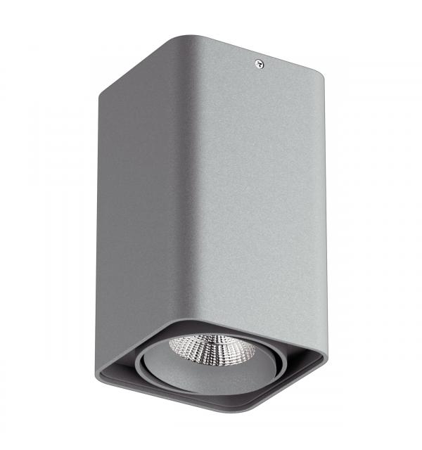 Светильник Lightstar Monocco 052339