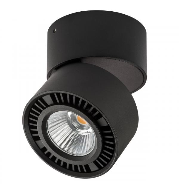 Светильник Lightstar Forte Muro 213817