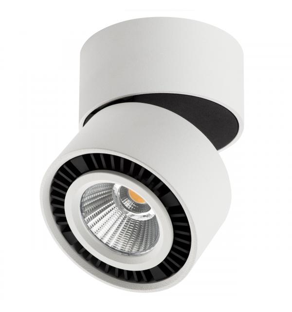 Светильник Lightstar Forte Muro 214816