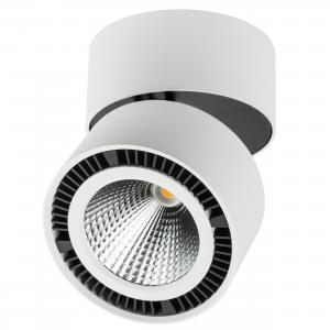 Светильник Lightstar Forte Muro 214850