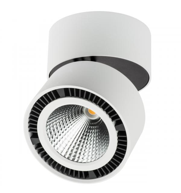 Светильник Lightstar Forte Muro 214850