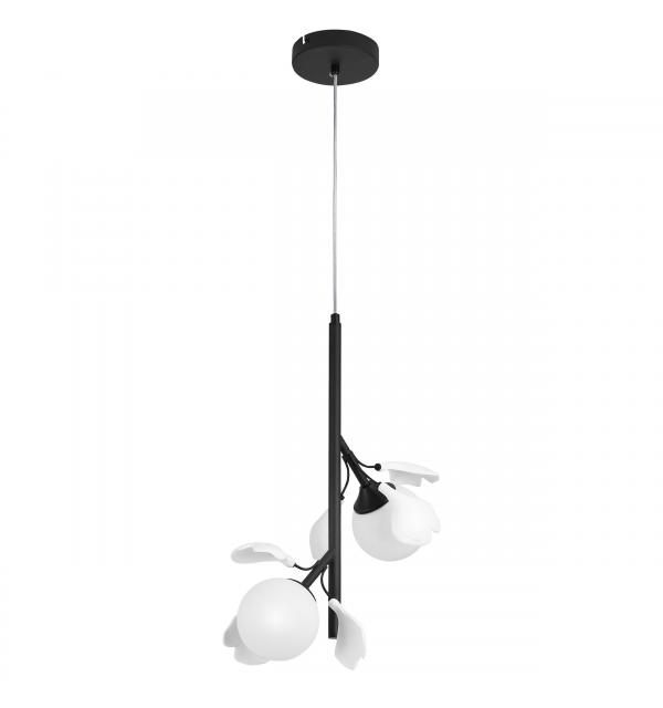 Светильник Lightstar Ceramo BW 799027