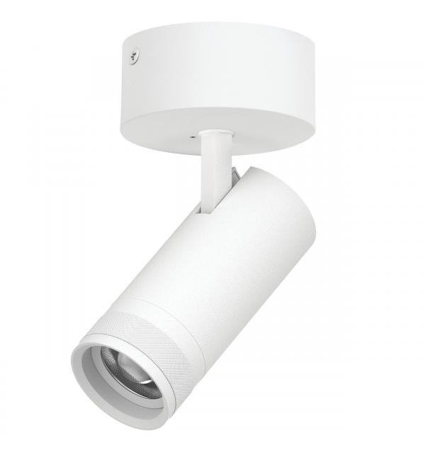 Светильник Lightstar Canno Pro C4206SO