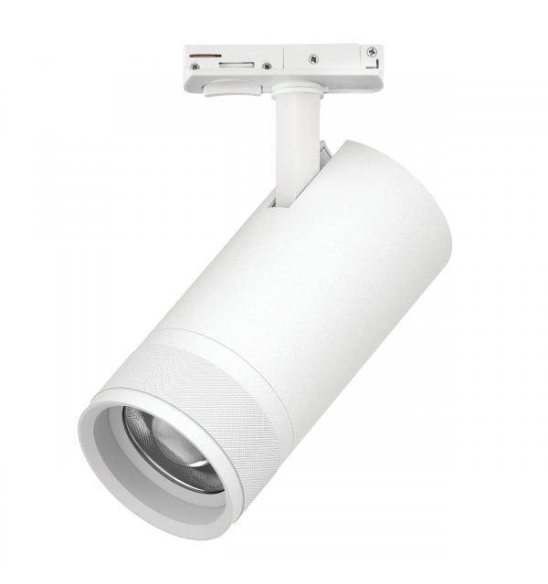 Светильник Lightstar Canno Pro C4306SS