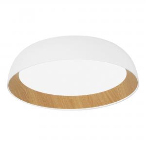 Светильник Evoluce MUSE SLE1812-502-01