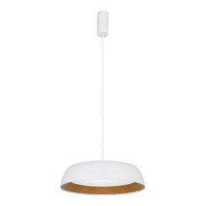 Светильник Evoluce MUSE SLE1812-503-01