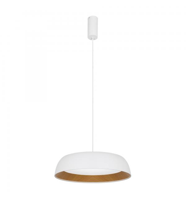 Светильник Evoluce MUSE SLE1812-503-01