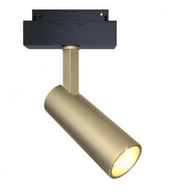 Светильник Maytoni TR019-2-10W4K-MG