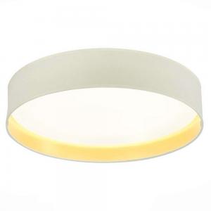 Светильник Evoluce BRESCIA SLE300552-01