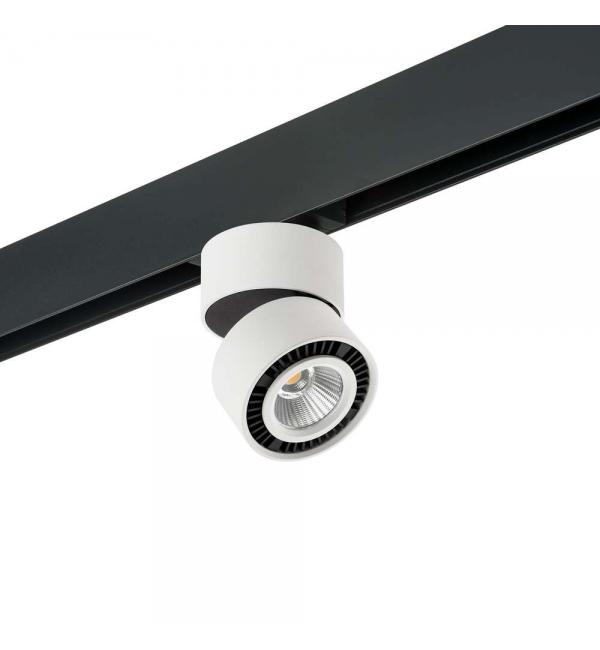 Светильник Lightstar Forte Muro PRO213816