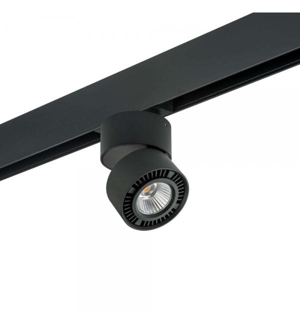 Светильник Lightstar Forte Muro PRO214817