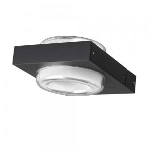 Светильник Odeon Light NATURE 6654/6WL