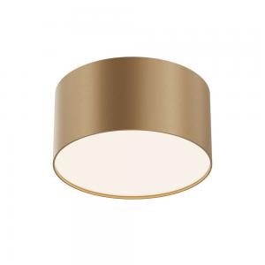Светильник Maytoni Technical Zon C032CL-12W4K-RD-MG
