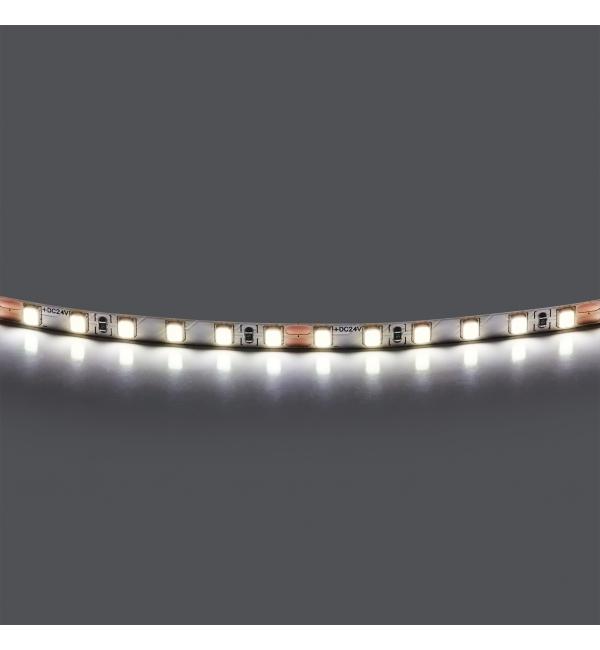 Лента холодного белого свечения 24V Lightstar Lightstar 420505