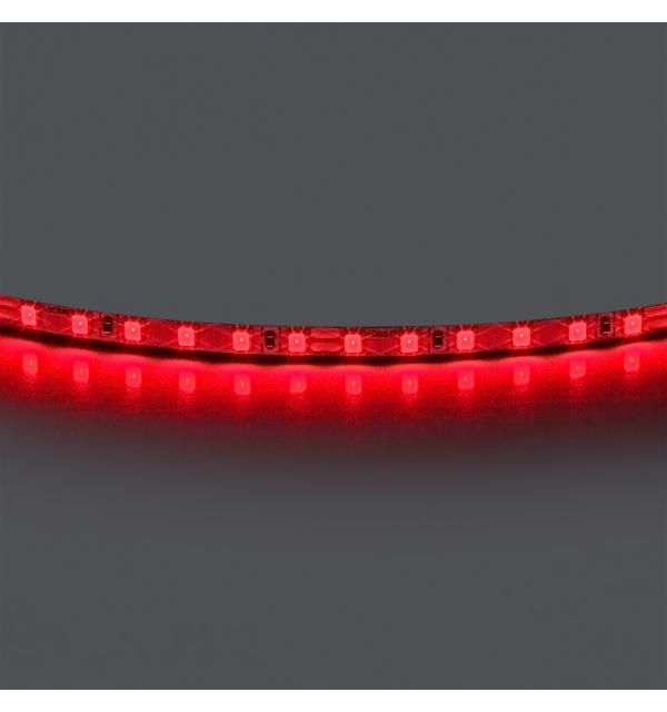 Лента цветного свечения 24V, красный Lightstar 420511