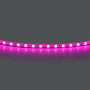 Лента цветного свечения 24V, розовый Lightstar 420512