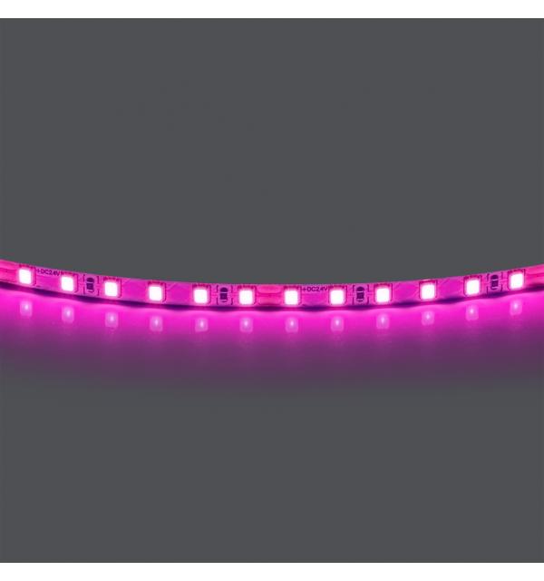 Лента цветного свечения 24V, розовый Lightstar 420512