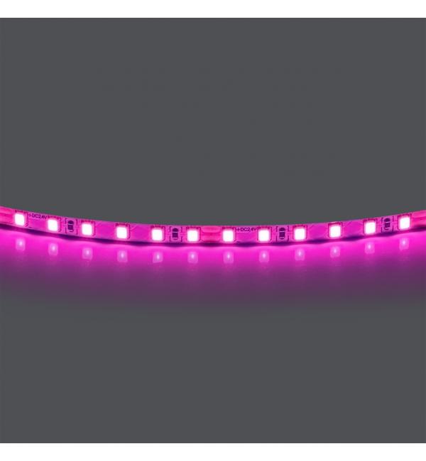 Лента цветного свечения 24V, розовый Lightstar 420512