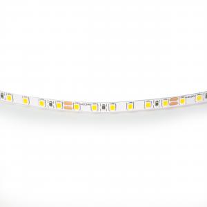 Лента цветного свечения 24V, желтый Lightstar 420513