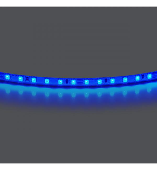 Лента цветного свечения 24V, синий Lightstar 420515