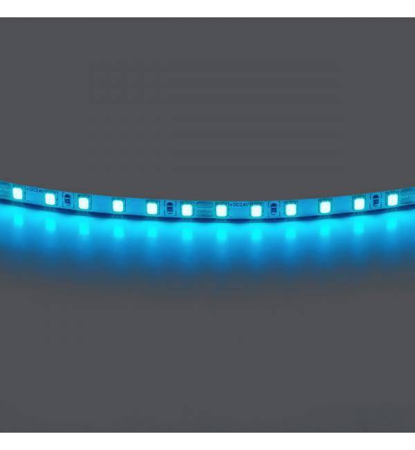 Лента цветного свечения 24V, голубой Lightstar 420516