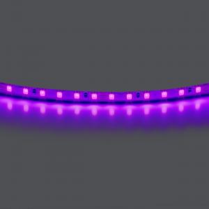 Лента цветного свечения 24V, фиолетовый Lightstar 420518
