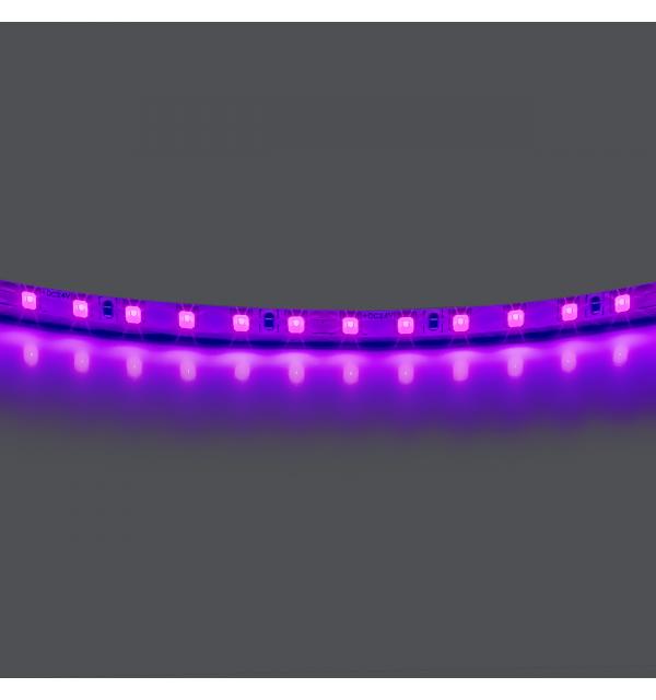 Лента цветного свечения 24V, фиолетовый Lightstar 420518