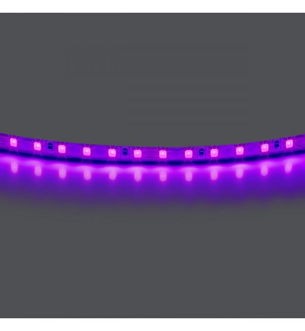 Лента цветного свечения 24V, фиолетовый Lightstar 420518