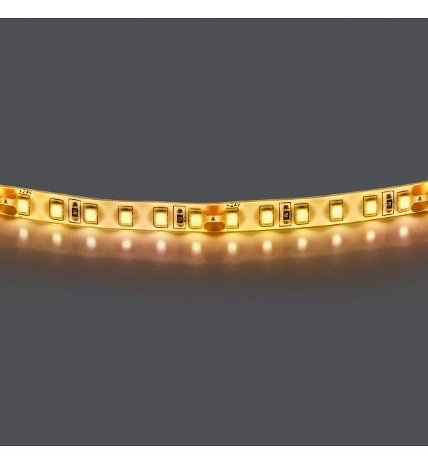 Лента теплого белого свечения 24V Lightstar 420853