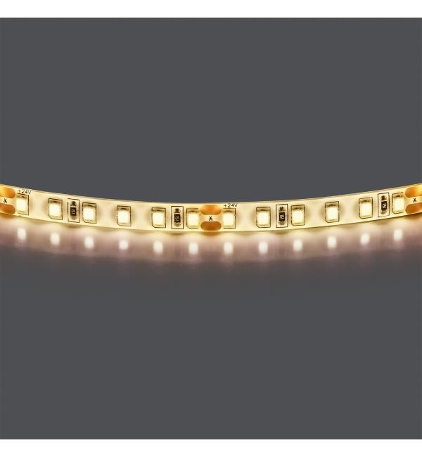 Лента белого свечения LED 24V Lightstar 420854