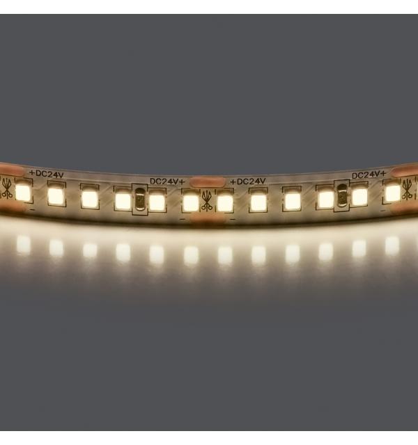 Лента белого свечения 24V Lightstar 421004