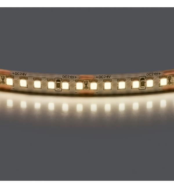 Лента белого свечения 24V Lightstar 421004