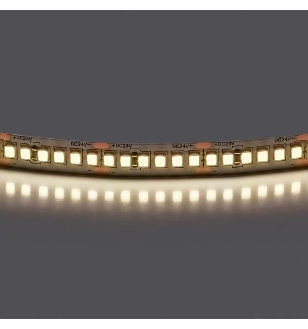 Лента белого свечения 24V Lightstar 421024