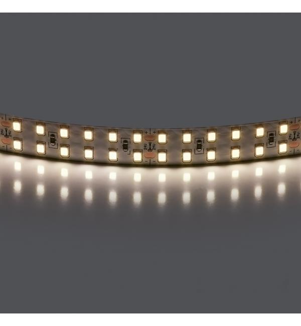 Лента белого свечения 24V Lightstar 421504