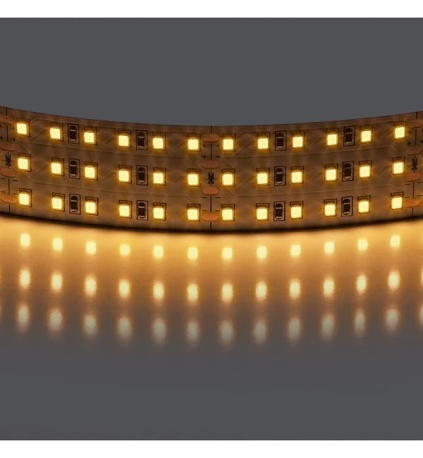 Лента теплого белого свечения 24V Lightstar 423003