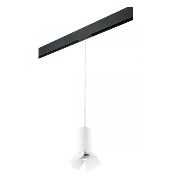 Светильник Lightstar Rullo PRORP486436